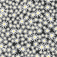 Skinnydip Daisy Floral Wallpaper Black Muriva 180510